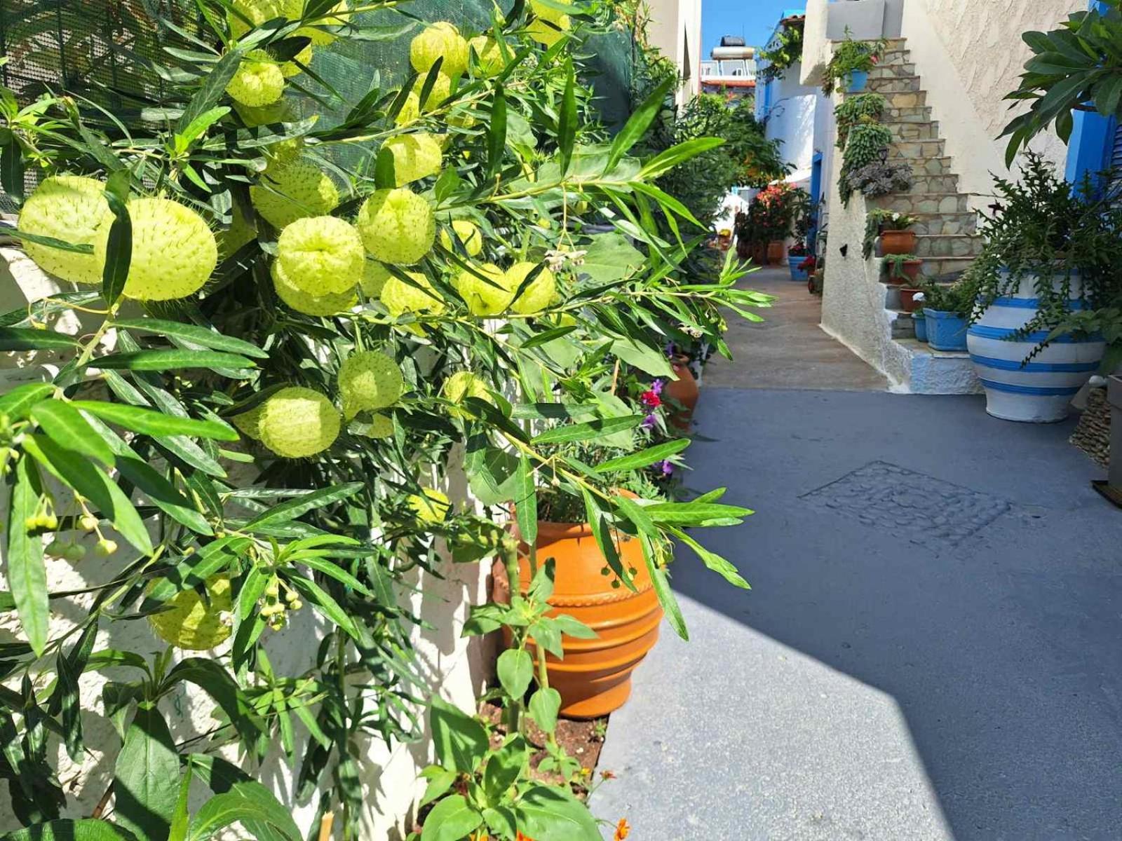 Βig Βlue Apartments Makry Gialos  Exterior photo