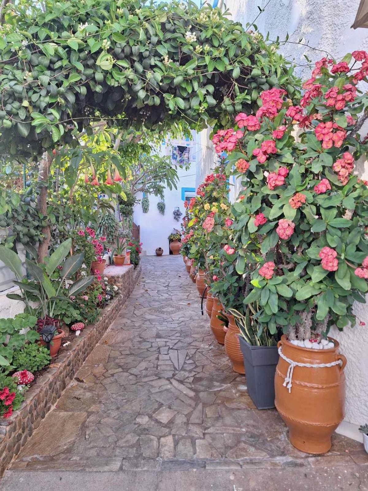 Βig Βlue Apartments Makry Gialos  Exterior photo